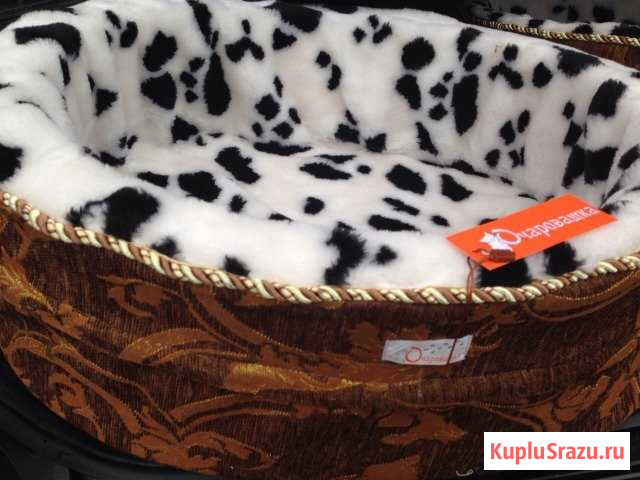 Лежак для собак и кошек Мосрентген - изображение 1