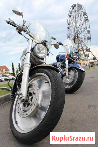Harley Davidson V ROD Сочи - изображение 1