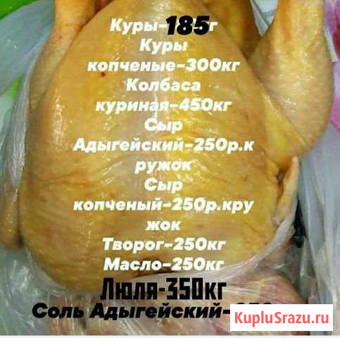 Куры домашние Геленджик - изображение 1