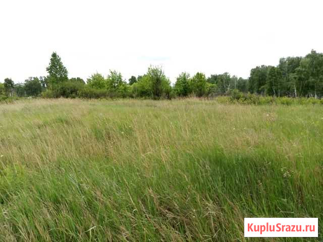  Копейск - изображение 1