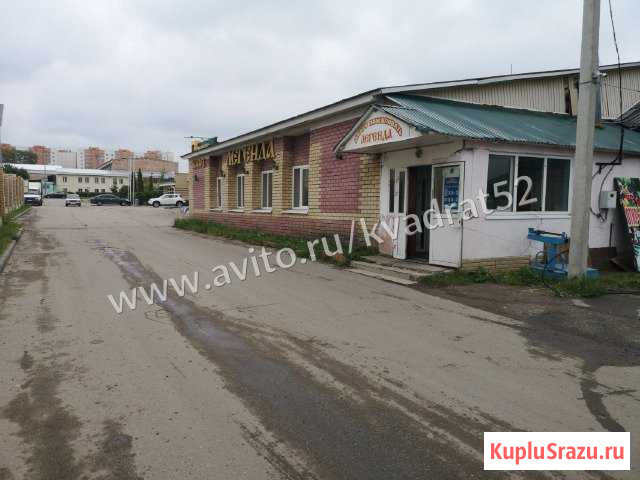 Свободного назначения 230 кв.м. Кстово - изображение 1