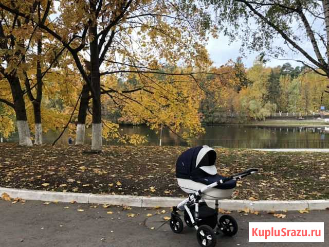 Коляска BeBe-mobile Toscana 3 в 1 Лесной Городок - изображение 1