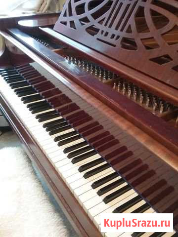 Рояль кабинетный Красногорск - изображение 1