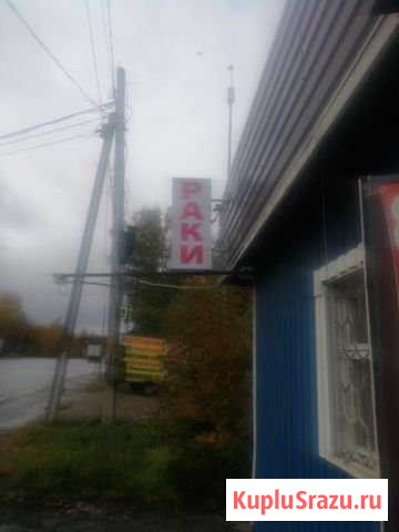 Раки Живые rachok vkusnyachok Краснознаменск - изображение 1