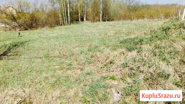  Красное Село - изображение 1
