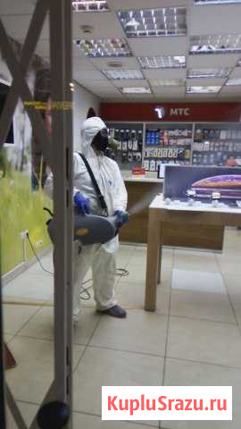 Уничтожение клопов, тараканов, клещей, насекомых Люберцы - изображение 1