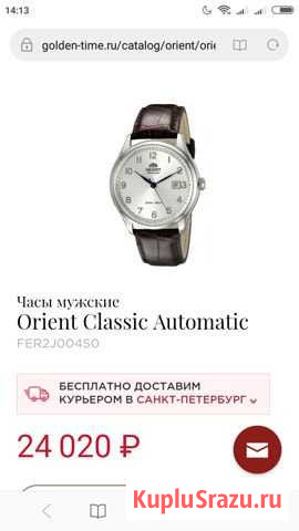 Новые часы Orient Пушкин - изображение 1