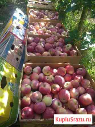 Продукты питания Кавказская