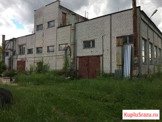 Производственное помещение, 3393.0 кв.м. Электрогорск - изображение 1