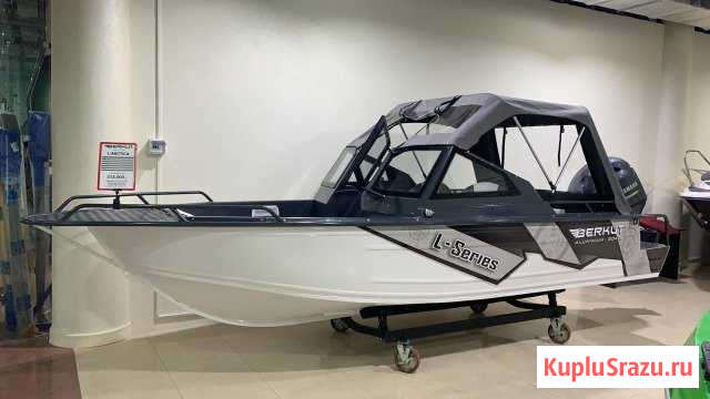 Berkut L-Arkctica + Yamaha F100detl Котельники - изображение 1