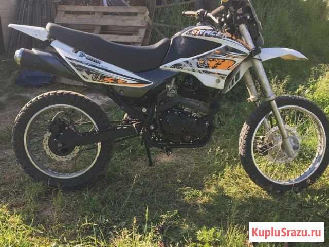 Racer panther Фряново - изображение 1