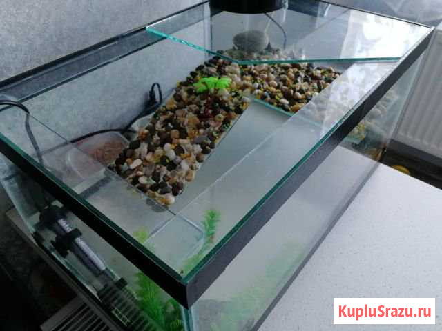 Аквариум для черепах Каневская - изображение 1