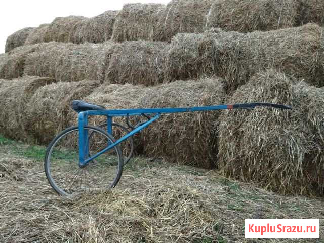 Качалка беговая Чистополь - изображение 1