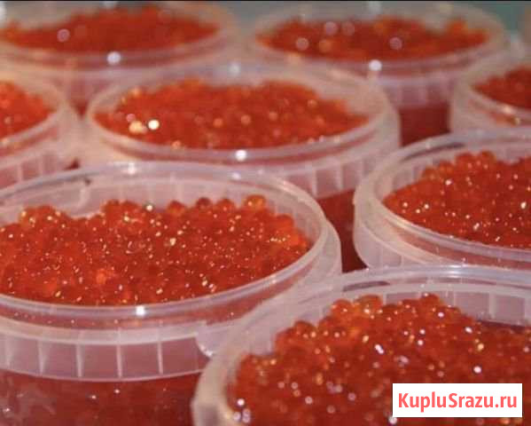 Красная икра Красногорск - изображение 1