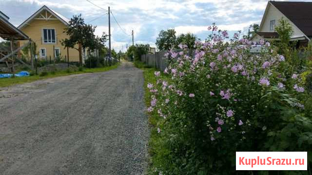  Петергоф - изображение 1