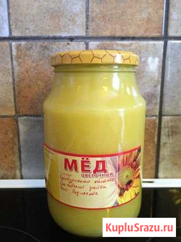 Оренбургский мед и подсолнечное масло Горки-10 - изображение 1