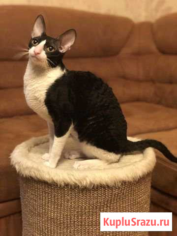 В хорошие руки Балашиха - изображение 1