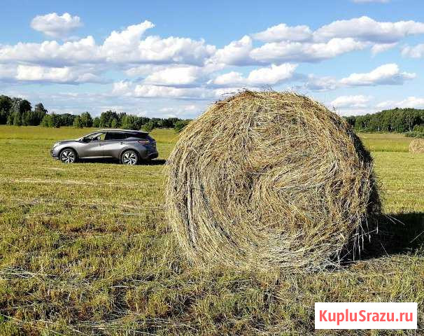 Сено луговое. Урожай 2019 Волоколамск - изображение 1