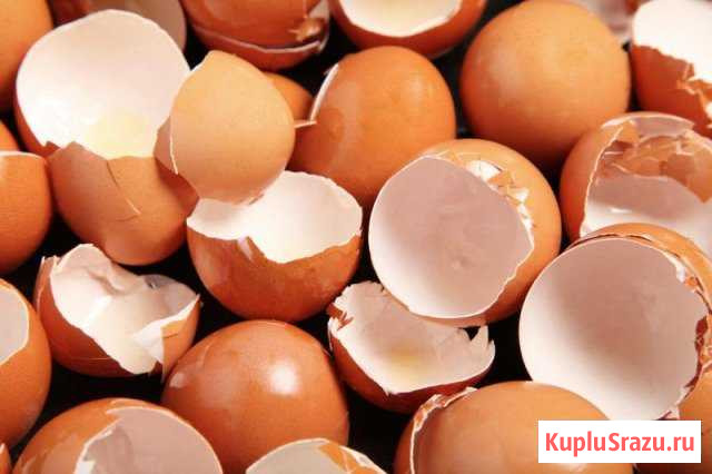 Скорлупа яичная Звенигород - изображение 1