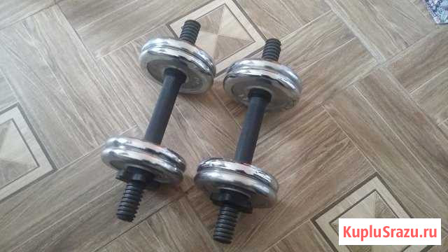 Гантели с хром. блинами Кудрово Кудрово - изображение 1