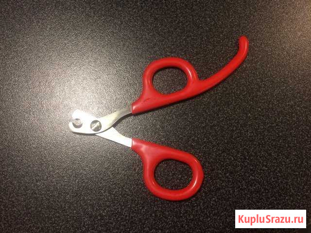 Ножницы для кошек, когтерезка Кудрово - изображение 1