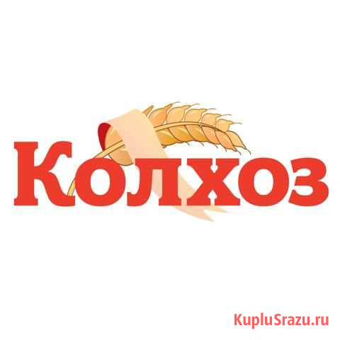Продавец Мурино - изображение 1