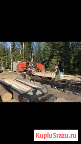 Пилорама действующая с низкой арендой Сертолово - изображение 1