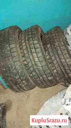Продам шины Toyo 225/55/19 Заринск