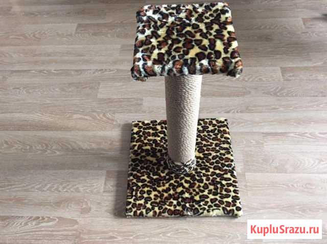 Когтеточка Кудрово - изображение 1