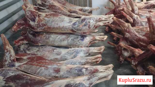 Оленина в тушах Янино-1 - изображение 1