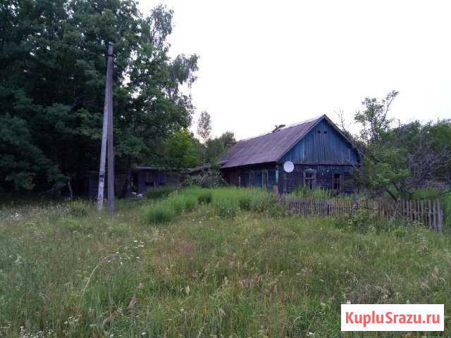 Дом 60 кв.м. на участке 30 сот. Жуковка - изображение 1
