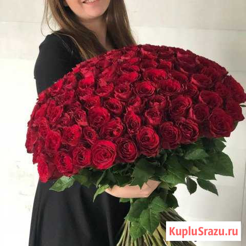 Розы оптом и в розницу Волгоград - изображение 1
