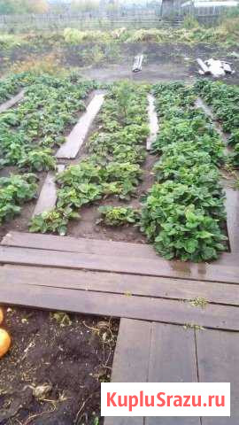 Дом 48 кв.м. на участке 10 сот. Новобирюсинский - изображение 1