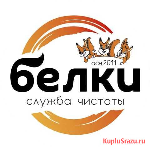 Коврочист Калининград - изображение 1