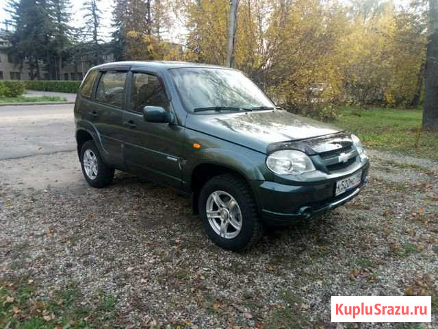 Chevrolet Niva 1.7 МТ, 2010, внедорожник Киров - изображение 1