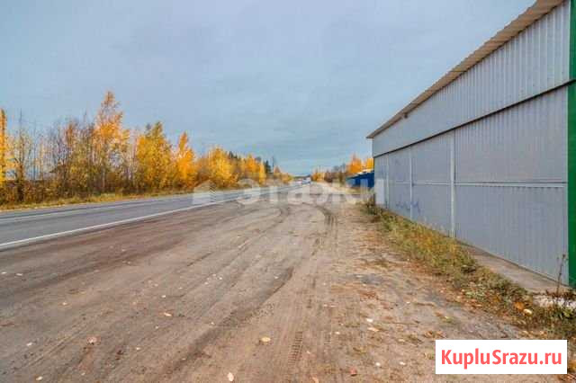 Продам торговое помещение, 73 кв.м. Петрозаводск - изображение 1