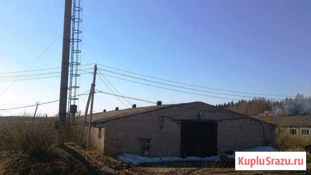 Производство/склад 1249 кв.м. зу32сот Киров Пасегово Киров - изображение 1