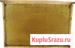 Продаю суш Петухово - изображение 1