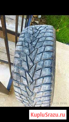 Шины покрышки 255 55 19 dunlop зима Севастополь - изображение 1