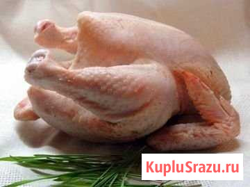 Мясо кур, забой в день заказа, масса от 3 кг Обоянь - изображение 1