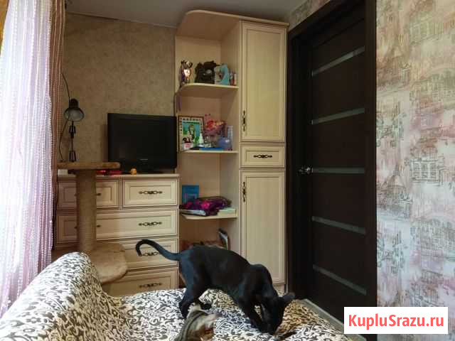 Дом 90 кв.м. на участке 8 сот. Бессоновка - изображение 1