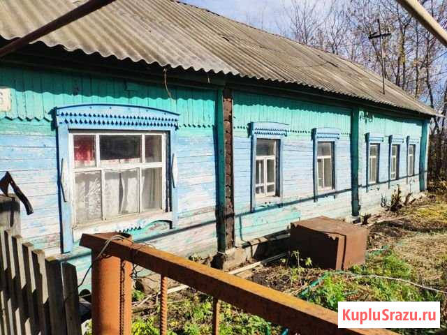 Дом 47 кв.м. на участке 12 сот. Пачелма - изображение 1