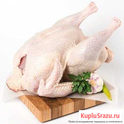 Мясо индейки домашнее Елово - изображение 1