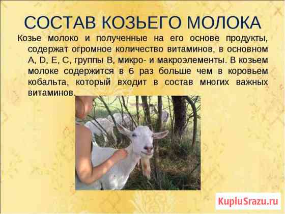 Козье молоко Минеральные Воды