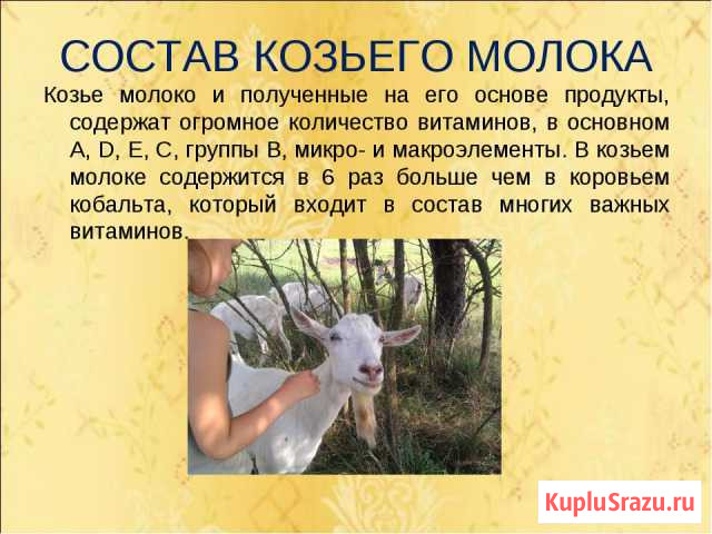 Козье молоко Минеральные Воды - изображение 1