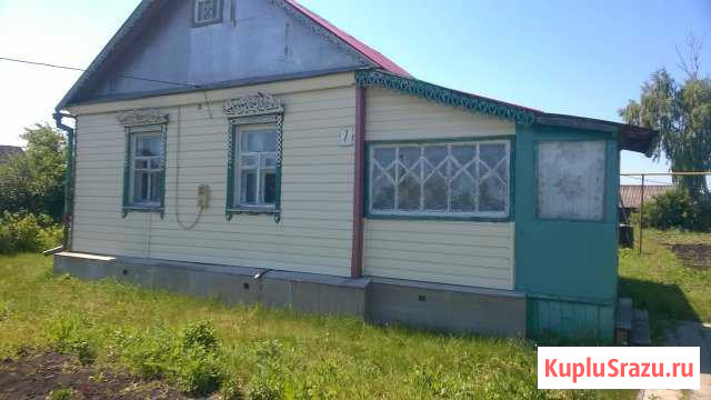 Дом 40 кв.м. на участке 21 сот. Сатинка - изображение 1