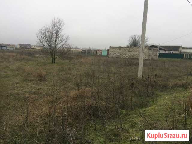  Курская - изображение 1