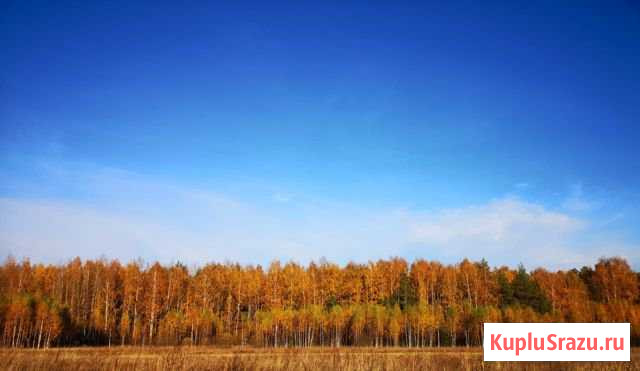  Ясногорск - изображение 1