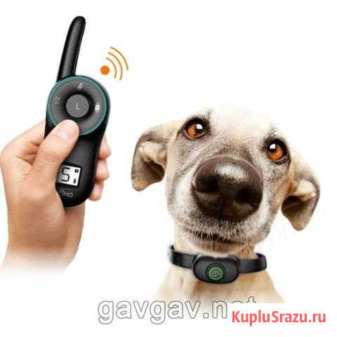 Электронные ошейники для собак Зеленоград - изображение 1