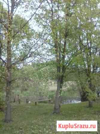  Мордово